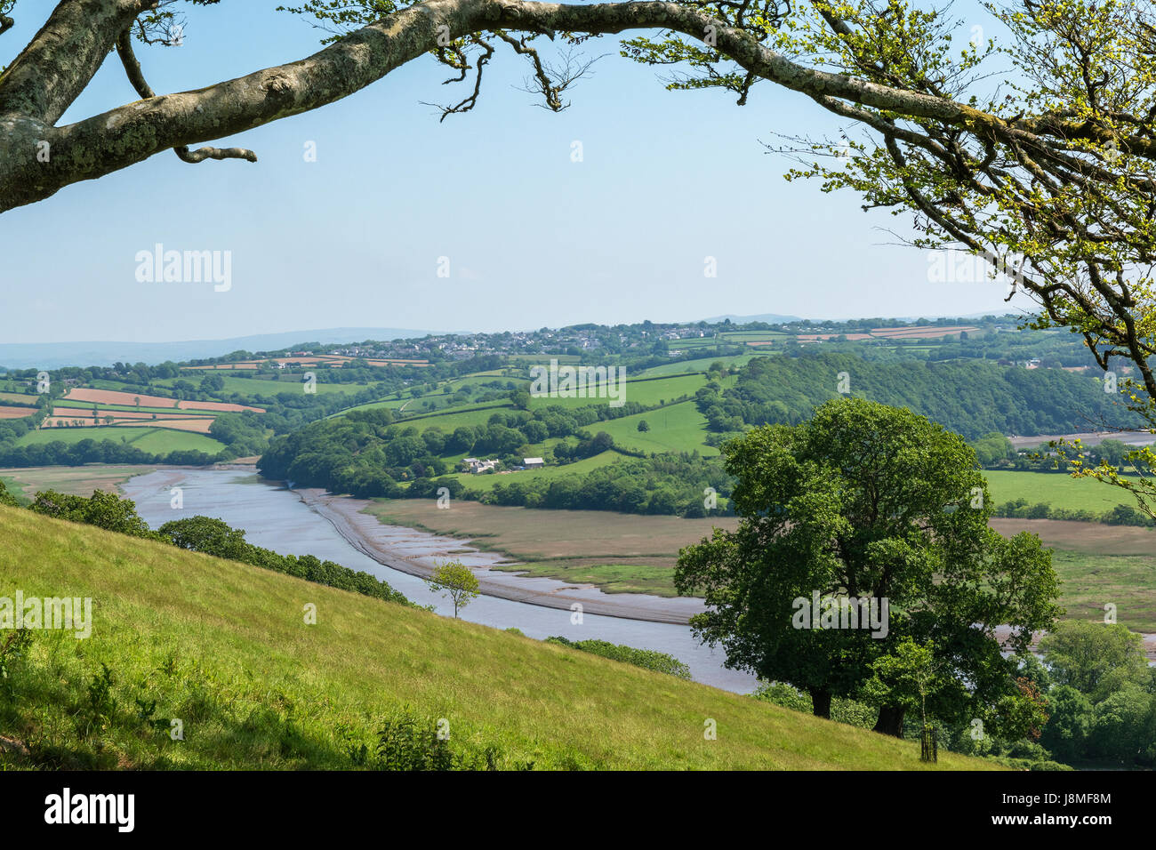 die Landschaft und den Fluss Tamar in der Nähe von st.mellion in Cornwall, England, Großbritannien, uk. Stockfoto