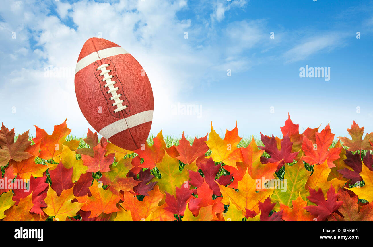 College-Football-Stil mit Herbstlaub auf Rasen, blauer Himmel und Wolken Stockfoto