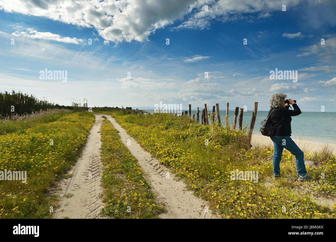 Vogelbeobachtung am Ufer des Flusses Sado. Portugal Stockfoto