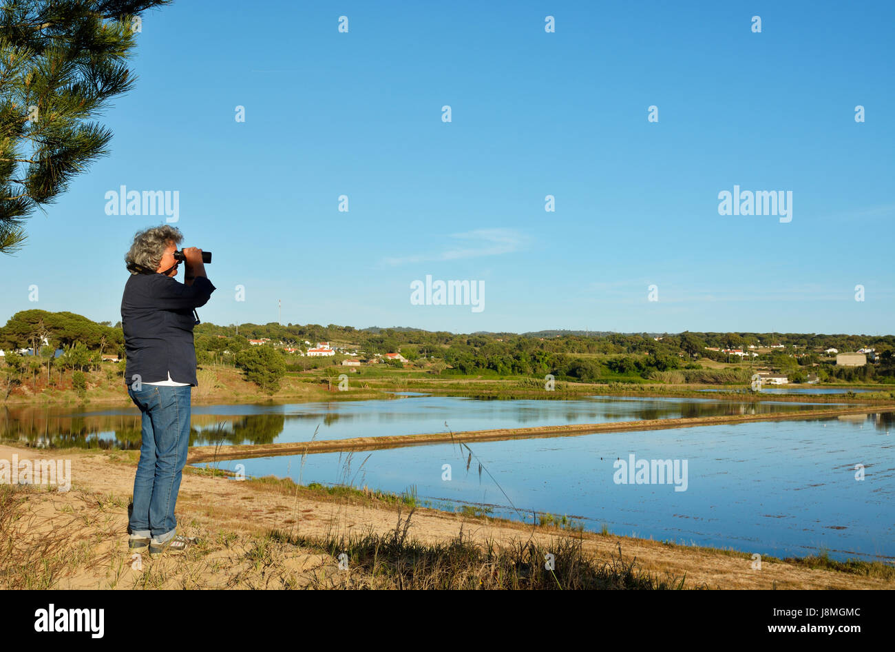 Melides Lagune mit Reisfeldern. Portugal Stockfoto