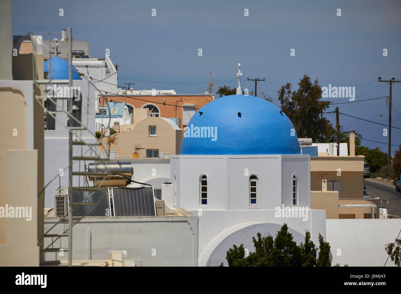 Vulkanische griechische Insel Santorin eine der Kykladen im Ägäischen Meer. Fira Islands Hauptstadt Araukarie Kiefer Stockfoto