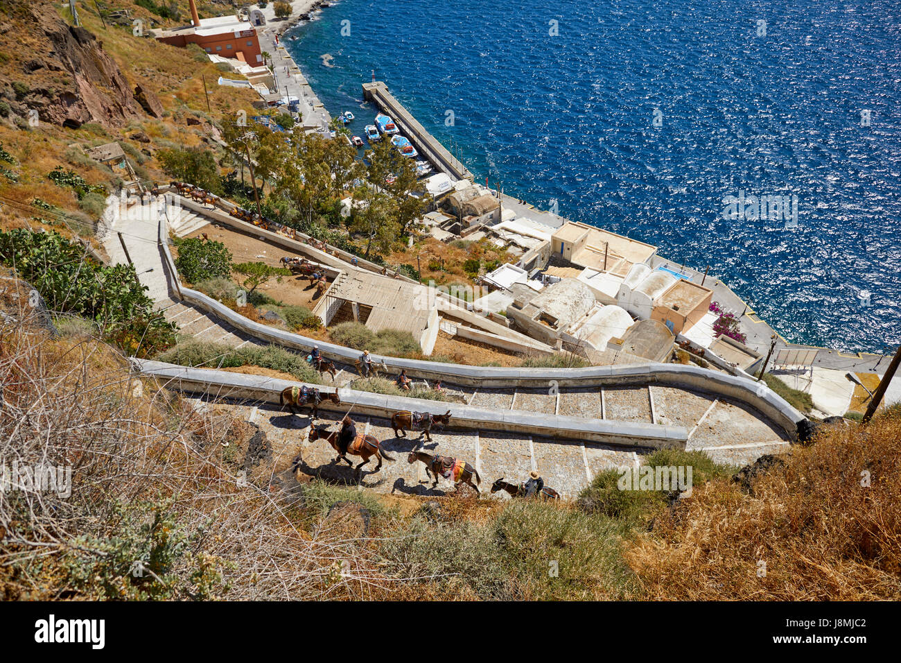 Vulkanische griechische Insel Santorin eine der Kykladen im Ägäischen Meer. Fira, der Hauptstadt Islands-Esel reitet auf dem Esel Weg Stockfoto