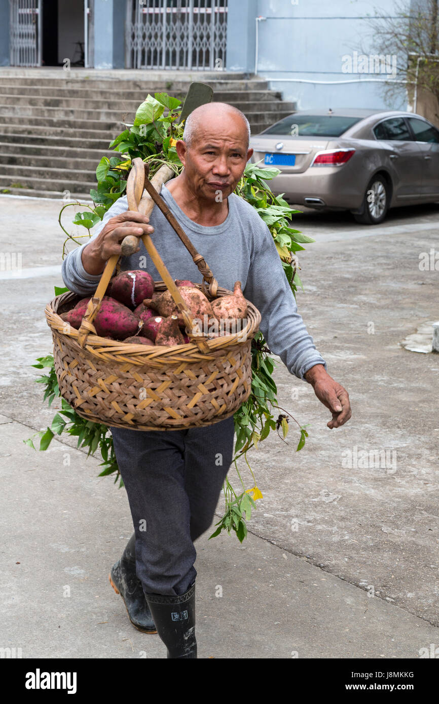 Yubei, Zhejiang, China.  Dorf-Mann mit Süßkartoffeln in einem Korb auf einer Schulter-Pol. Stockfoto