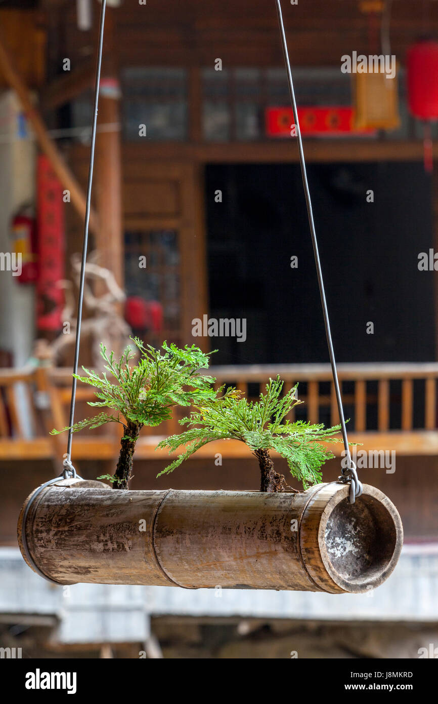 Linkeng, Zhejiang, China.  Bambus, hängenden Korb für die Abhaltung von Vegetation, Pflanzen. Stockfoto