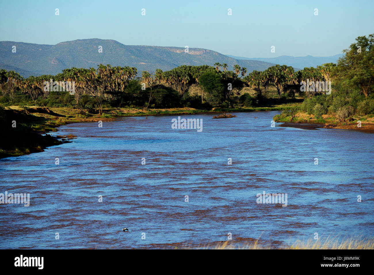 Der ewaso Ng'iro Fluss fließt zwischen Samburu National Reserve und Buffalo Springs National Park. Stockfoto