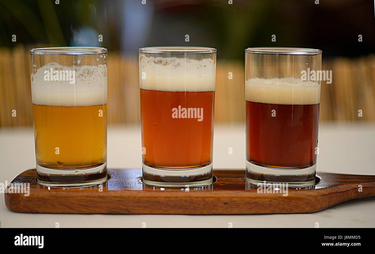 Drei Farben des Bier sitzen in einem Flug während Costa Rica Craft Beer Festival. Stockfoto