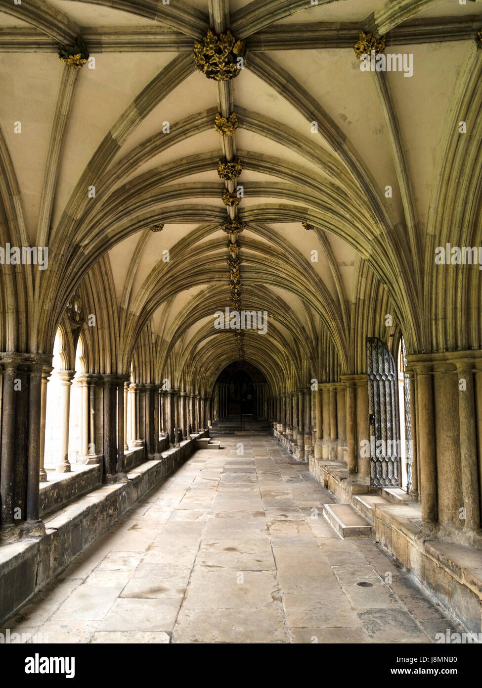 Innenraum der Klöster bei Norwich Cathedral, Norwich, England, UK Stockfoto