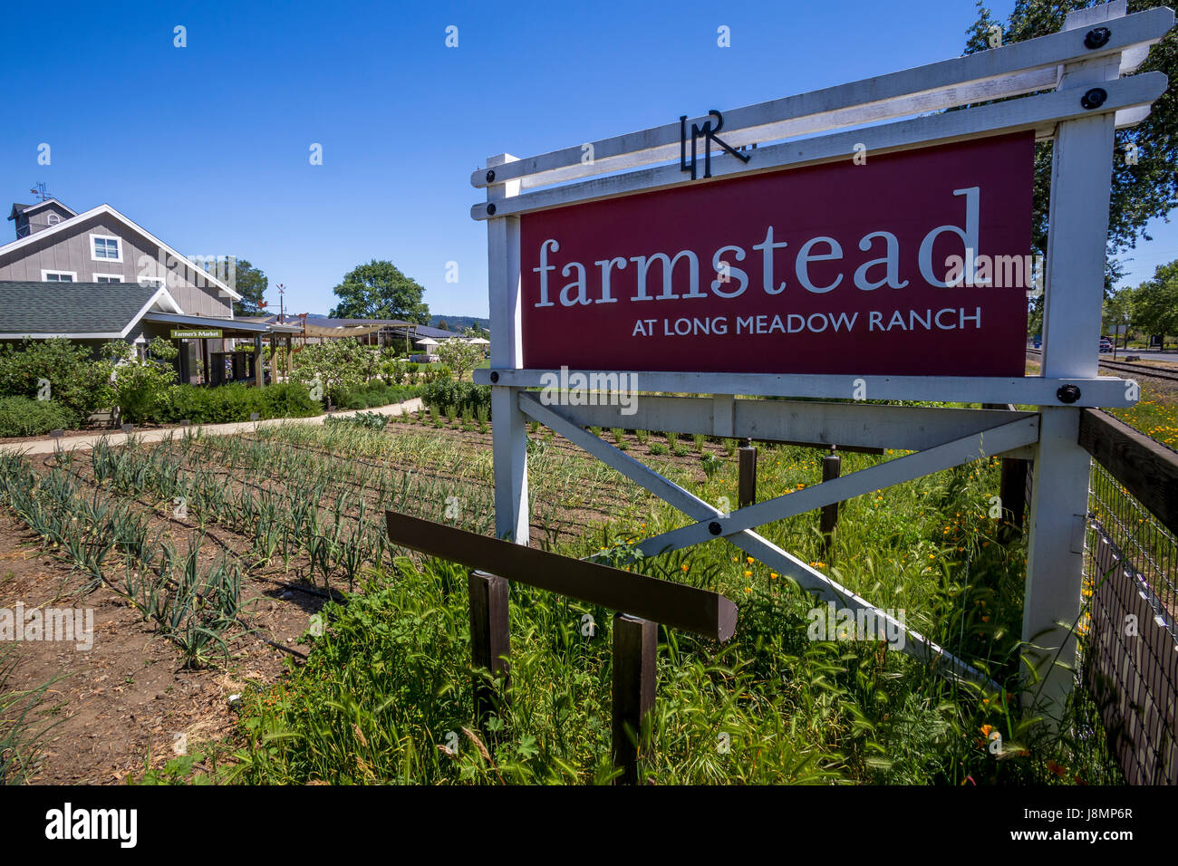 Kulinarischer Garten, kulinarische Gärten, lange Wiese Ranch Weingut und Bauernhof, St. Helena, Napa Valley, California, Vereinigte Staaten von Amerika Stockfoto