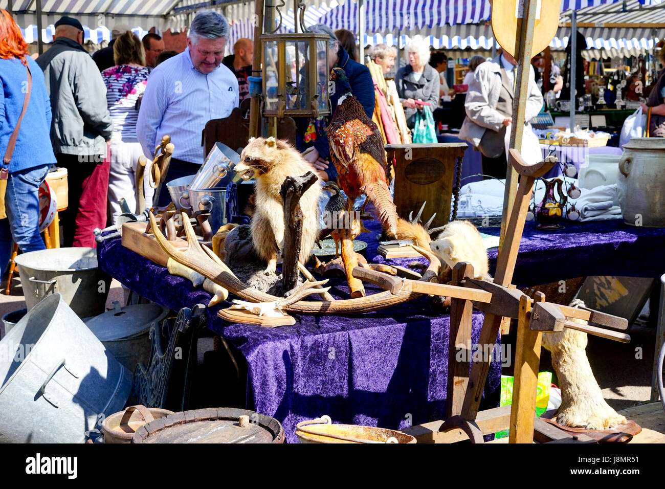 Antiken Messe bei Ludlow, Shropshire, England, UK. Stockfoto