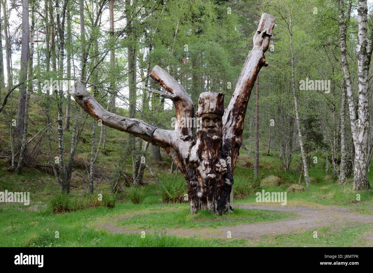 Baum Skulptur namens archetypische Frank Bruce Sculpture Trail Inshriach Wald Feshiebridge Cairngorms Schottland UK GB Stockfoto