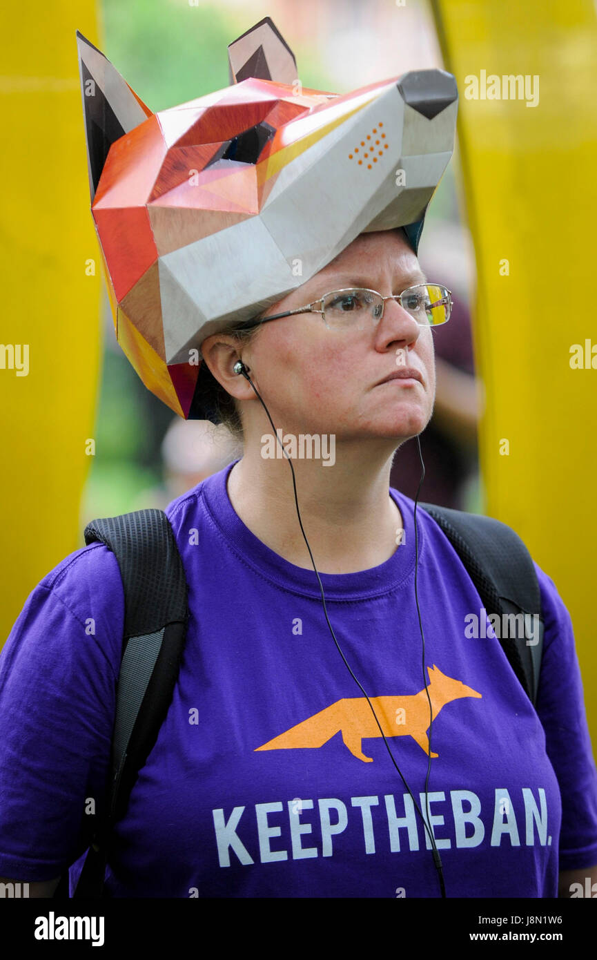 London, UK. 29. Mai 2017. Ein Demonstrator Fuchs Maske schließt sich einen "Anti-jagen-Marsch" im Zentrum von London, marschieren von Cavendish Square außerhalb Downing Street. Demonstranten fordern das Verbot der Fuchsjagd bleibt, im Gegensatz zu Kommentare von Theresa May, Herr Ministerpräsident, berichtet, dass die Jagd-Gesetz von 2004 nach den Parlamentswahlen aufgehoben werden könnte. Bildnachweis: Stephen Chung/Alamy Live-Nachrichten Stockfoto