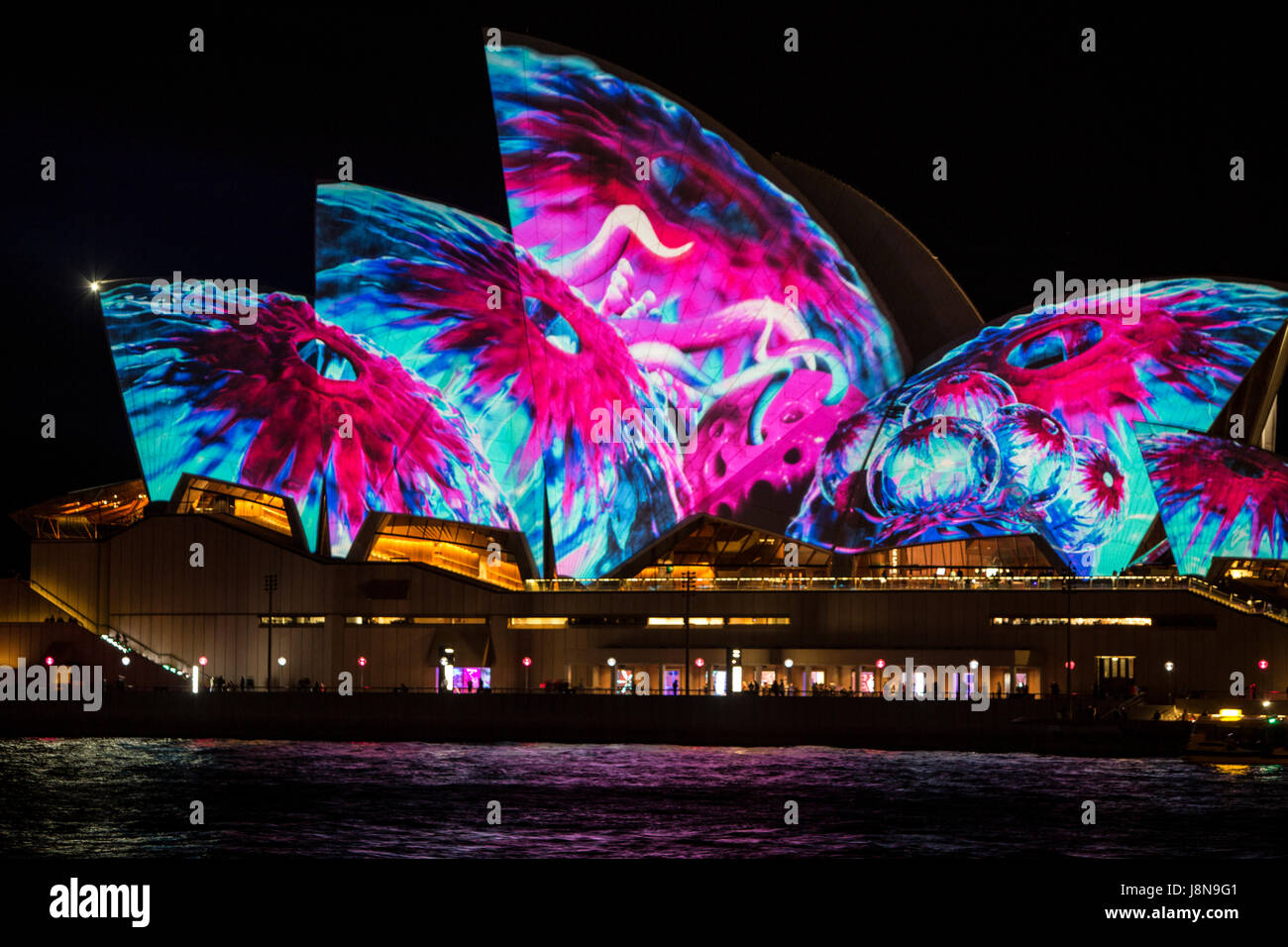 Vivid Sydney Light Festival im Jahr 2017 wird das Sydney Opera House in immersive Lichtinstallationen getaucht, während Licht auf die Fassade des Gebäudes projiziert wird. Das Vivid Sydney Festival ist eine jährliche Veranstaltung, die Hunderttausende an der Veranstaltung über einen Zeitraum von drei Wochen anzieht. Sydney, NSW, Australien Stockfoto