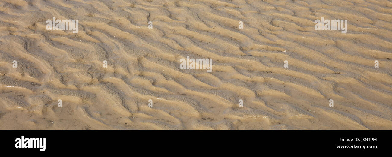 Strukturen Im Watt, Nordsee, Niedersachsen, Deutschland Stockfoto