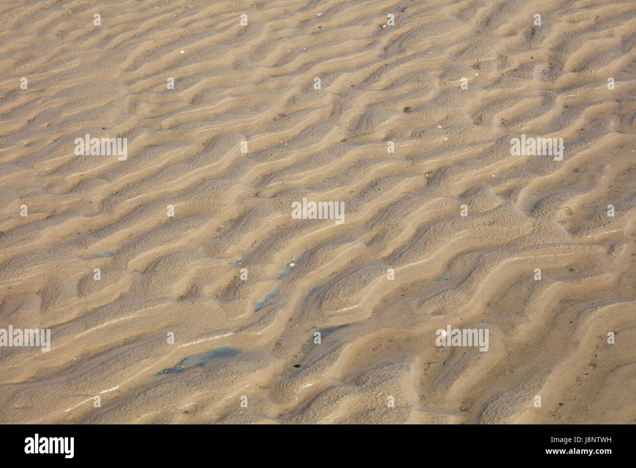 Strukturen Im Watt, Nordsee, Niedersachsen, Deutschland Stockfoto