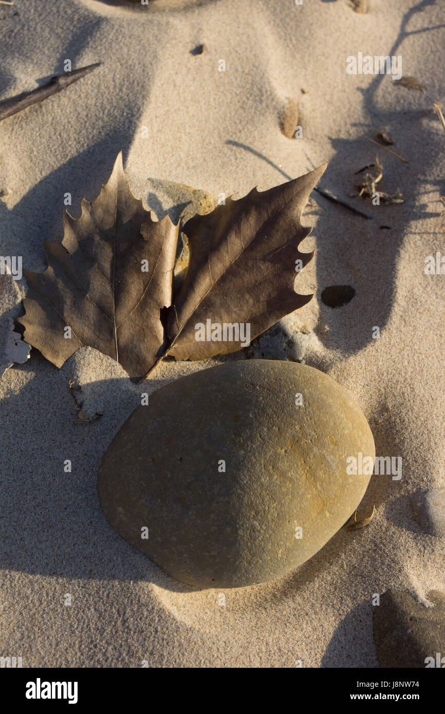 Bild Stillleben Strand mit zwei alten Blätter und einen abgerundeten Stein auf Sand mit langen Schatten. Stockfoto