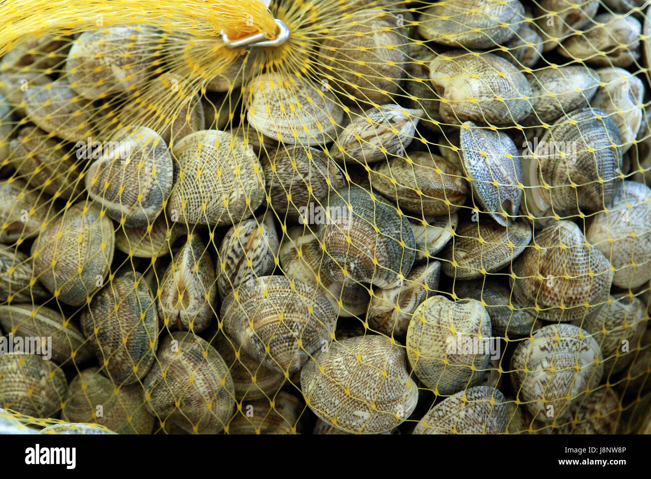 Fischmarkt Stockfoto