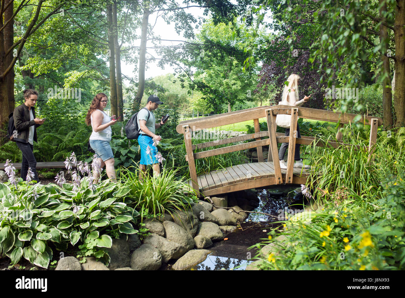 Gruppe von Freunden augmented-Reality-Spiel mit dem Handy im park Stockfoto