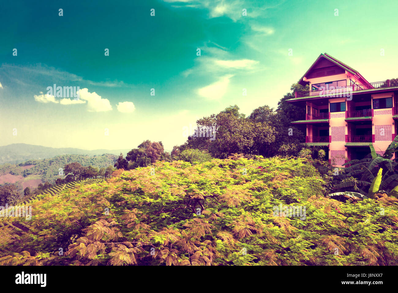 Haus und Landschaft. Exotische Orte und Tourismus. Reise- und Hotel-Konzept. Vintage-Stil Stockfoto