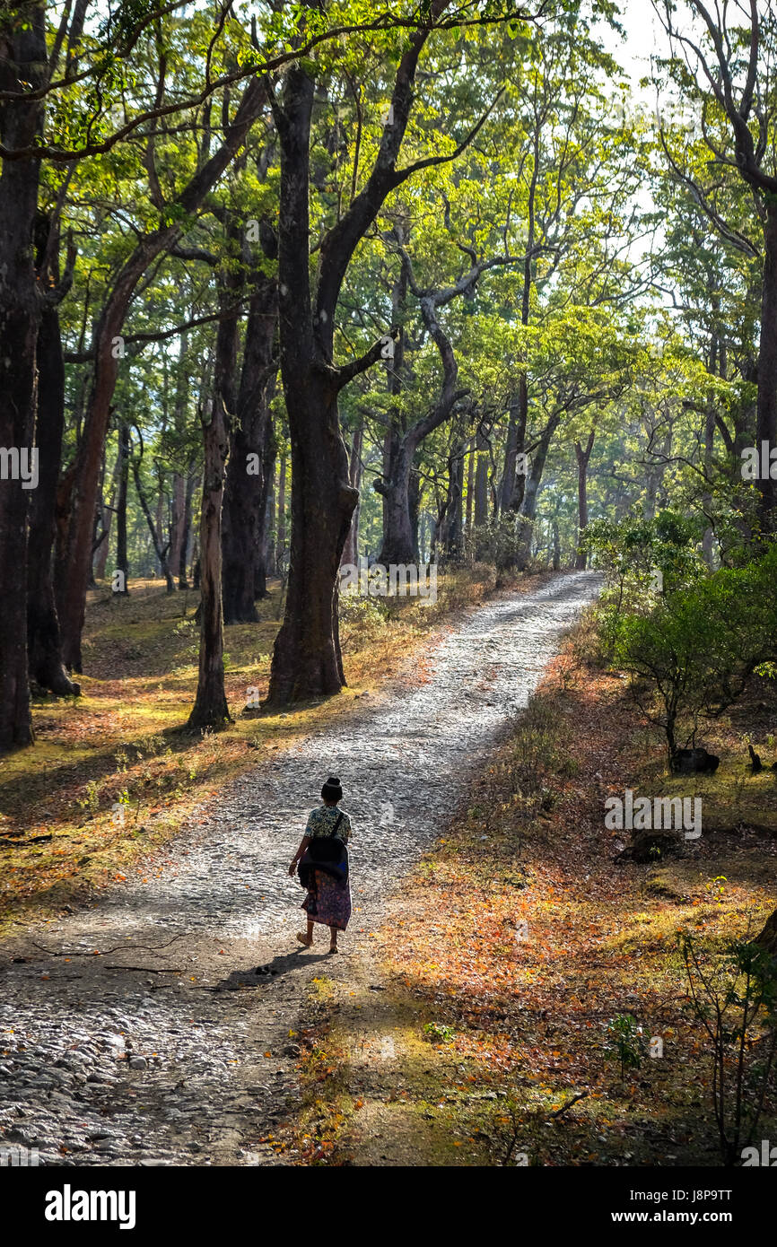 Yuliana Fuka geht die Straße hinunter zum Dorf Fatumnasi, Süd-Zentral-Timor, Ost-Nusa Tenggara, Indonesien. Stockfoto