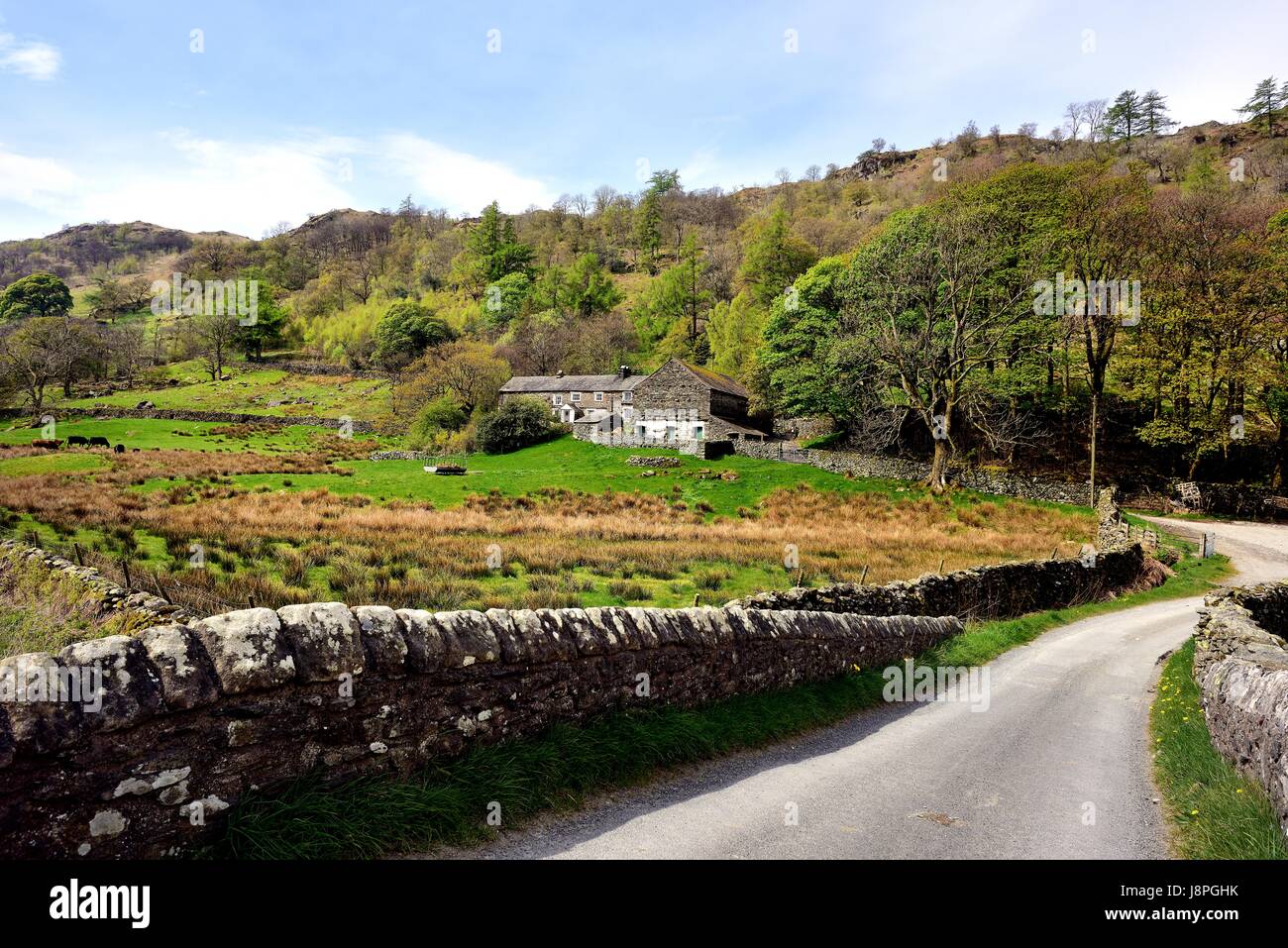 Bauernhaus unter grünen Viertel fiel Stockfoto