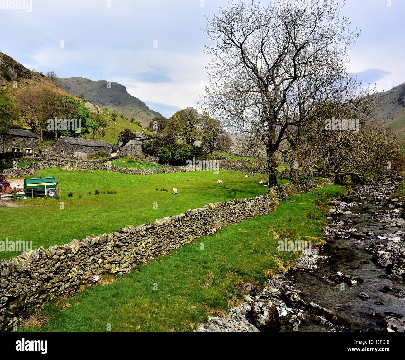 Bauernhaus und River Sprint, Sadgill Stockfoto