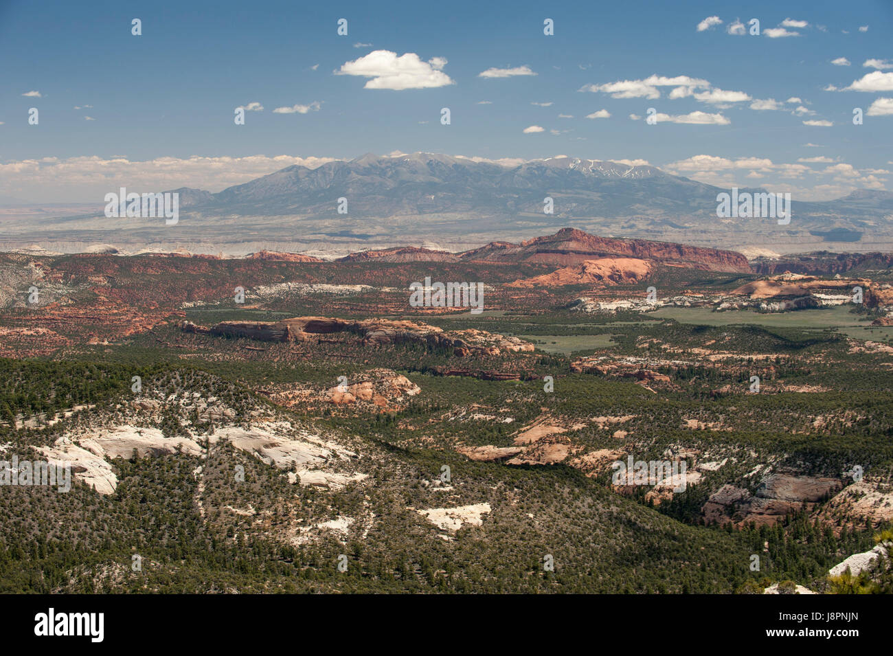 Blick nach Osten über die Waterpocket Fold aka Capitol Reef.  Henry-Berge in der Ferne. Stockfoto