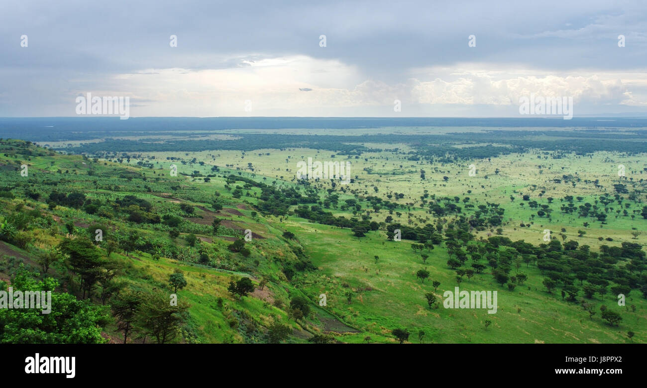 Nationalpark, Afrika, Uganda, Landschaft, Landschaft, Natur, Umwelt, Stockfoto