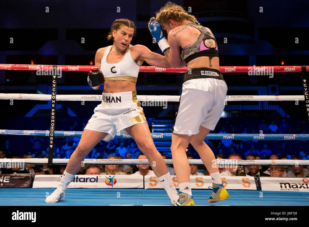 Barry McGuigan schreit Ermutigung seine Zyklon Promotions Boxer