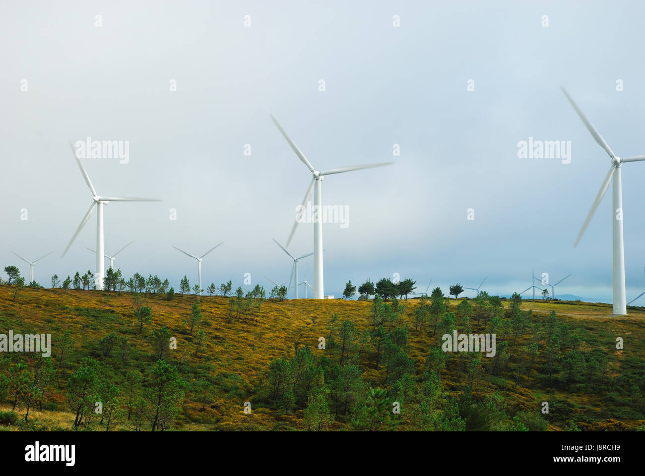 Windmühlen, ökologische Stromproduktion Stockfoto