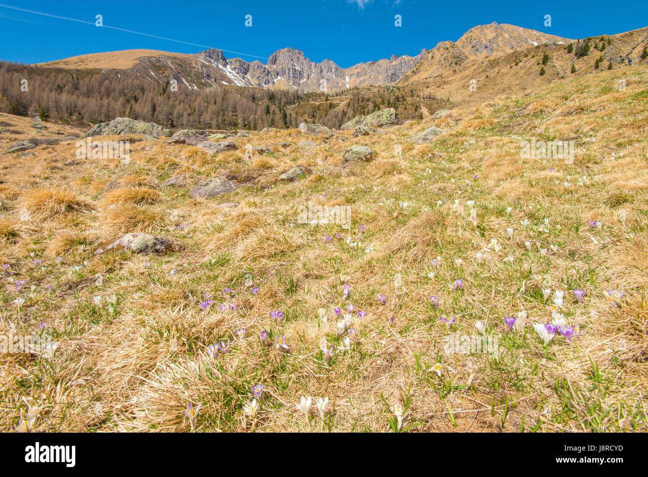 Lagorai, in den italienischen Alpen. Imposante Gebirge, Cirque blockiert den Zugriff auf das nächste Tal und See, der Weg wird die Spitzen auf der rechten Seite Rock Stockfoto