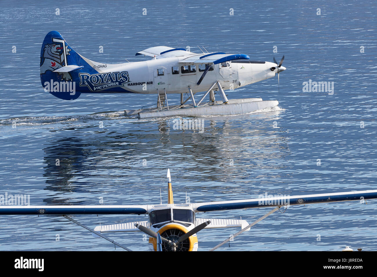 Harbour Air Wasserflugzeuge de Havilland Canada DHC-3-T Turbo Otter Wasserflugzeug Rollen aus Vancouver Harbour Flight Center, British Columbia, Canada. Stockfoto