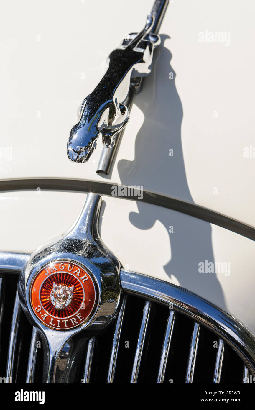 Jaguar 2 Salon Auto vorne Abzeichen und Teil des Grills mit springenden Jaguar Maskottchen auf Motorhaube des weißen Auto. Stockfoto