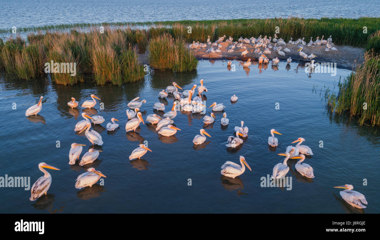 Donau delta luftaufnahme Fotos und Bildmaterial in hoher Auflösung