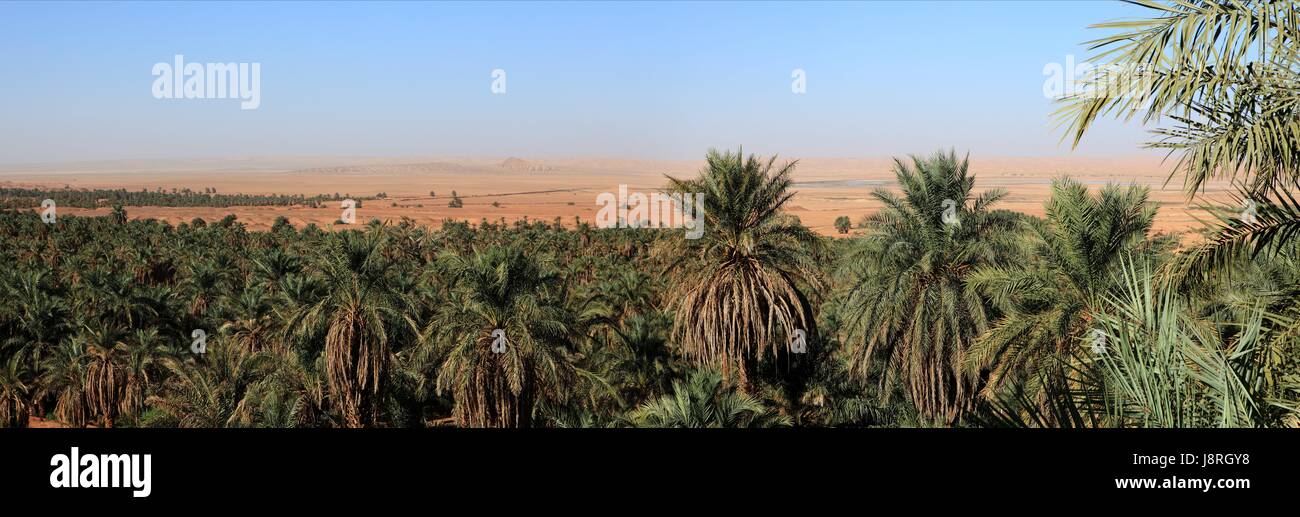 algerische sahara Stockfoto