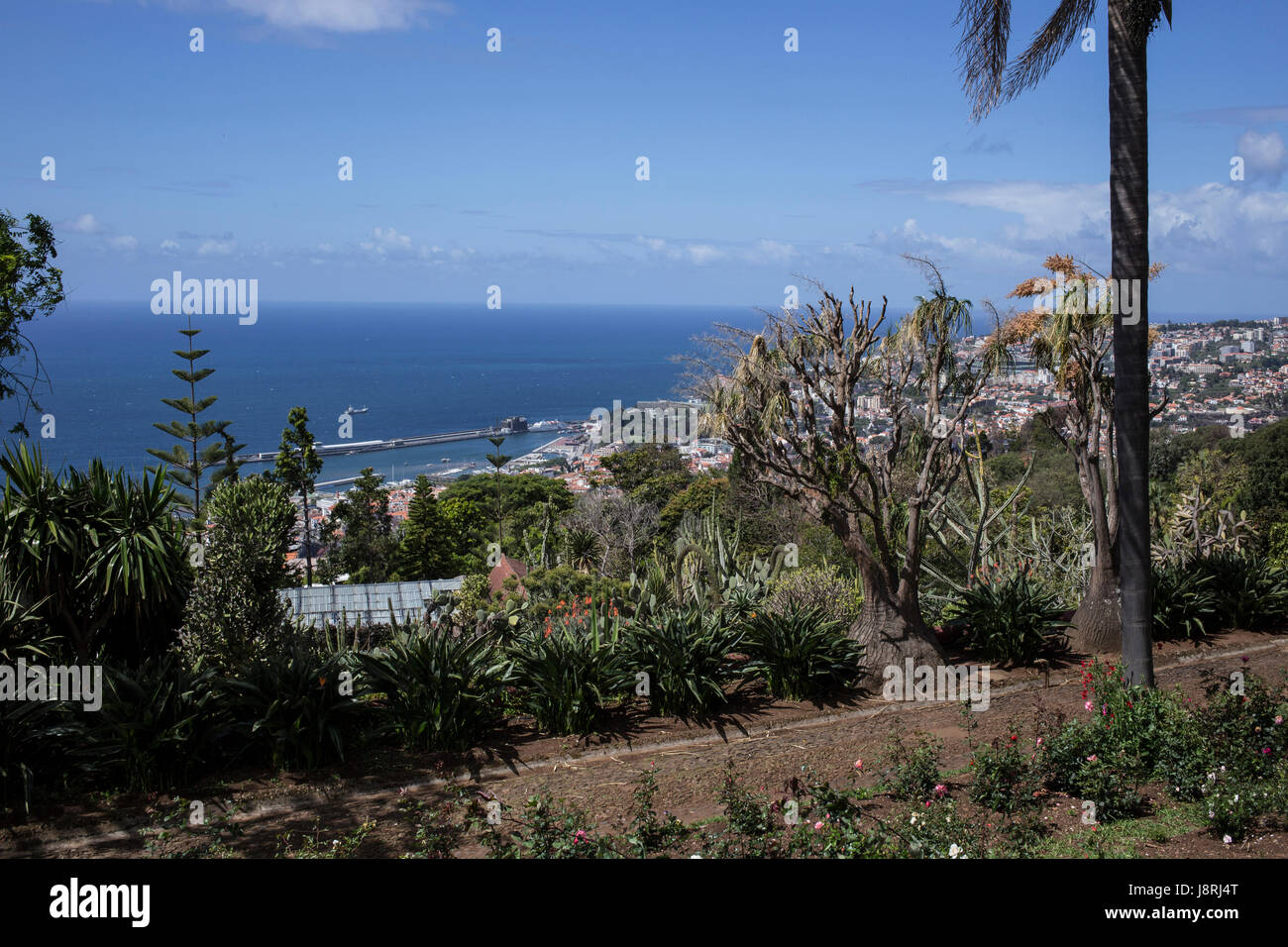 Funchal aus dem botanischen garten Fotos und Bildmaterial in hoher