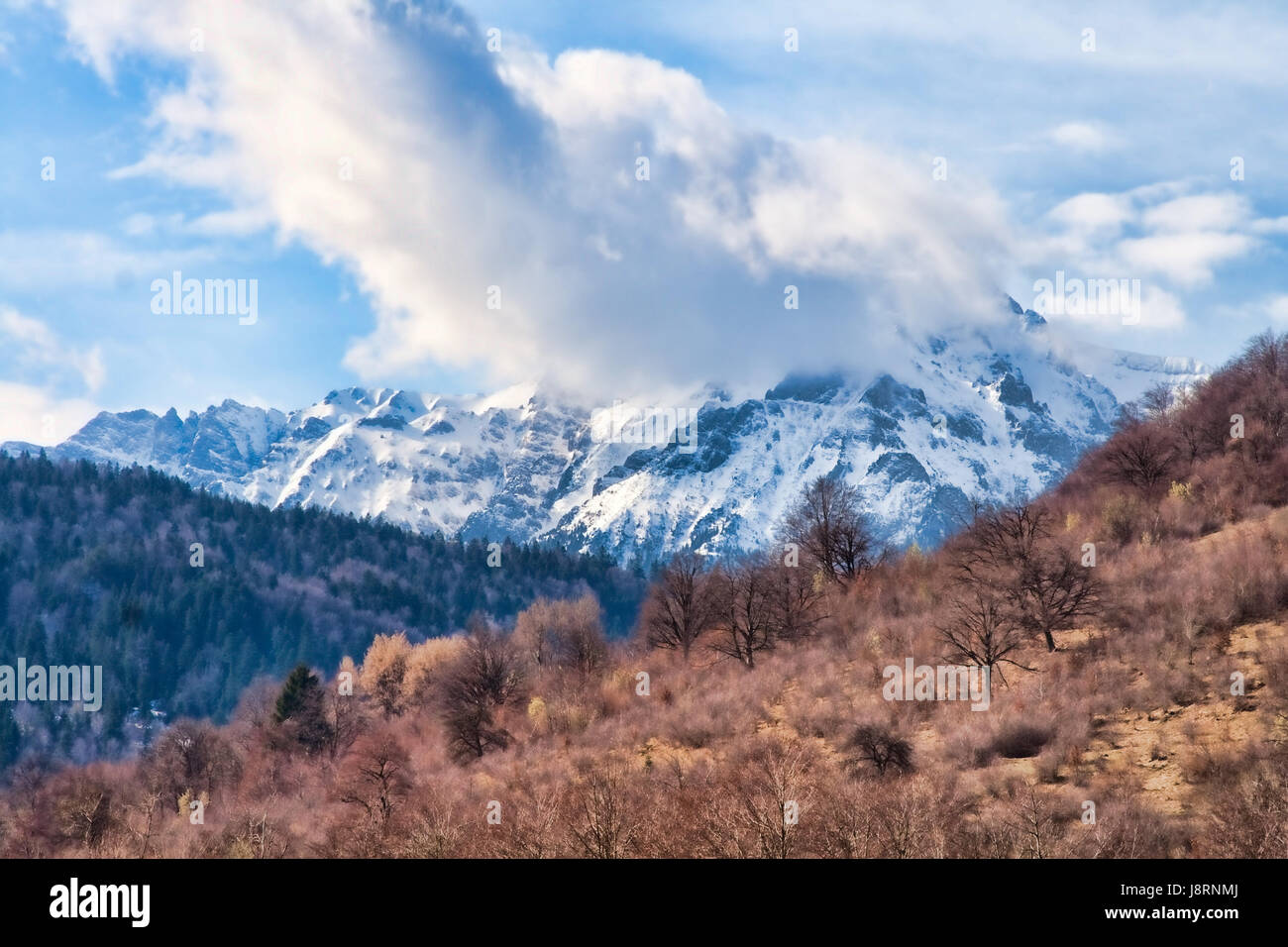 Farbe, Schnee, Koks, Kokain, Material, Drogen, Anästhesie, süchtig machende Droge, Stockfoto