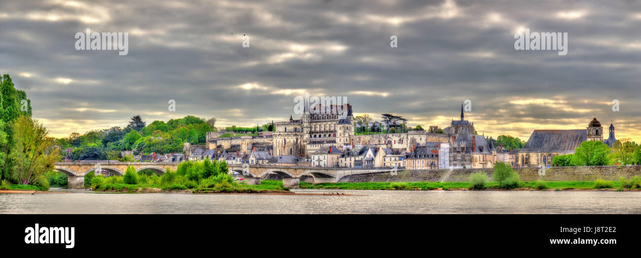 Blick auf Amboise Stadt mit dem Schloss und der Loire. Frankreich. Stockfoto