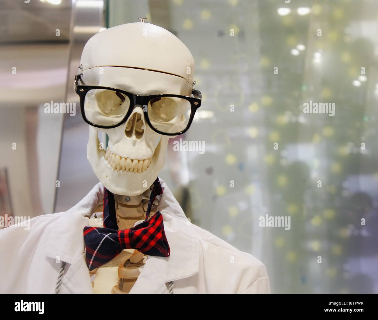 Ein Skelett, das Tragen von Brille und eine Fliege in einem Schaufenster Stockfoto