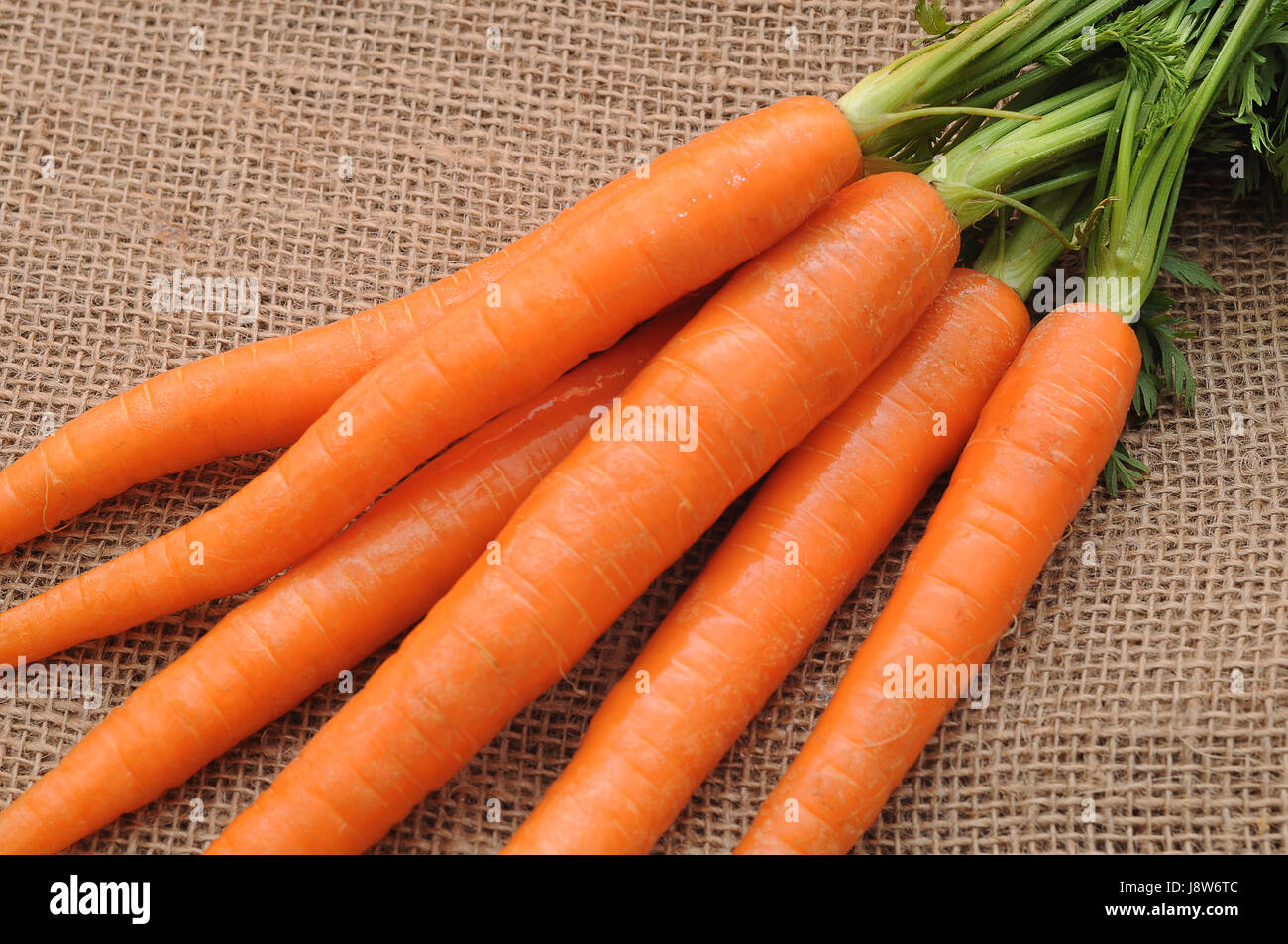 Orange, Wurzel, Gemüse, Karotten, frische, frisch, Orange, Vitamine, Stockfoto
