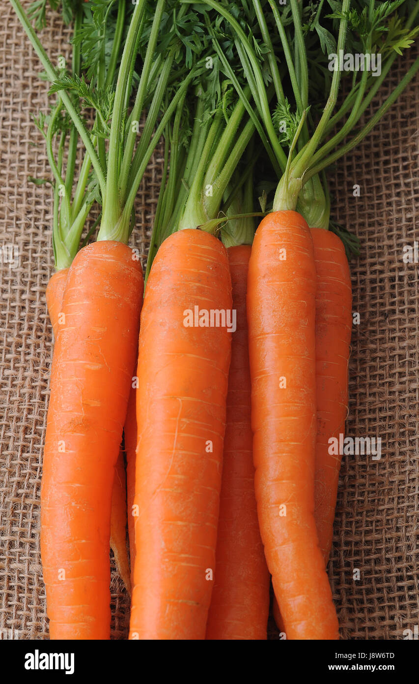 Orange, Wurzel, Gemüse, Karotten, frische, frisch, Orange, Vitamine, Stockfoto
