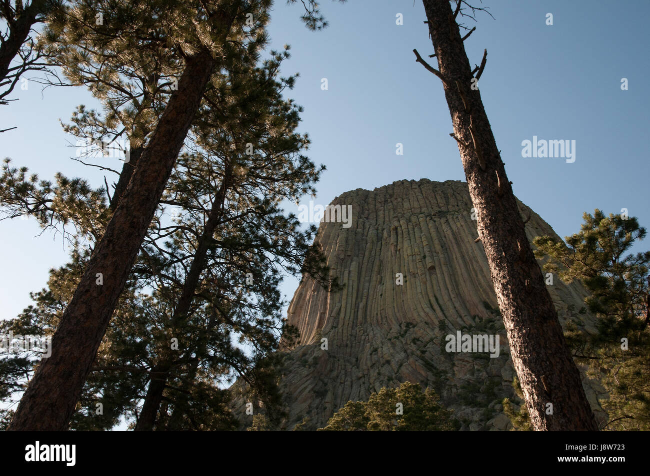 Des Teufels Turm Nationaldenkmal, Wyoming, USA Stockfoto