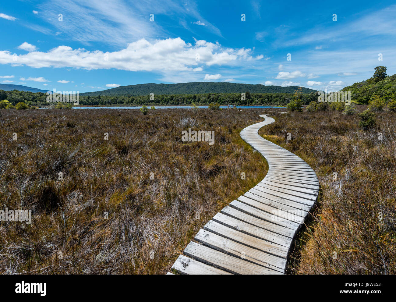 Hölzerne Track über Sumpf, Kepler Track, Fjordland National Park, Southland, Südinsel, Neuseeland Stockfoto