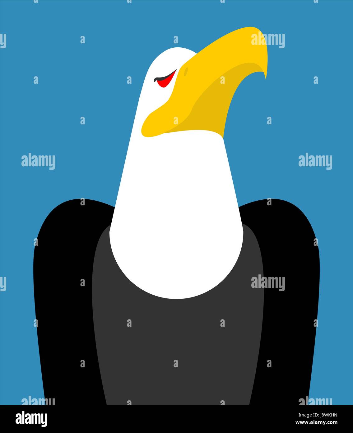 Weißkopf-Seeadler Kopf isoliert. Vogel ein Adler-Gesicht auf weißem Hintergrund Stock Vektor