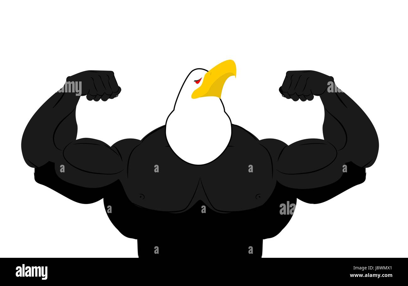 Strong Eagle Athlet. Fitness-Vogel. Wilde Tiere Bodybuilder mit ...