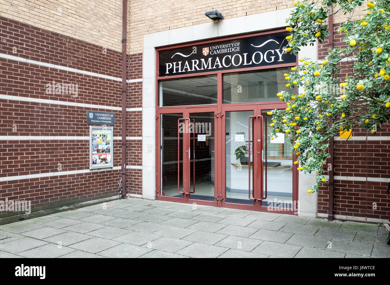 Eingang zum Institut für Pharmakologie an der University of Cambridge, UK Stockfoto