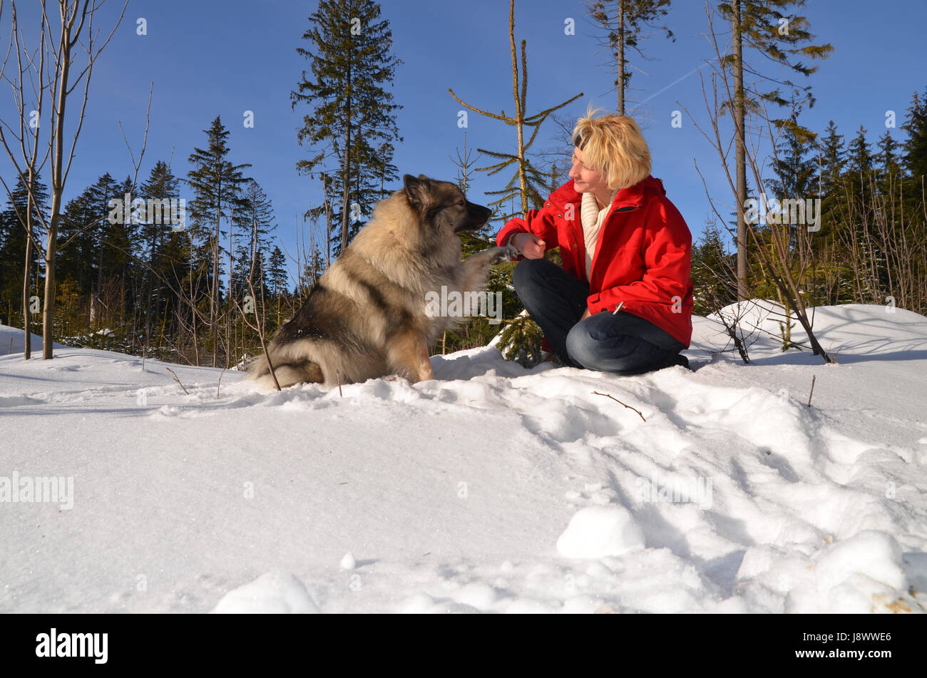 Frau mit Hund im Schnee Stockfoto