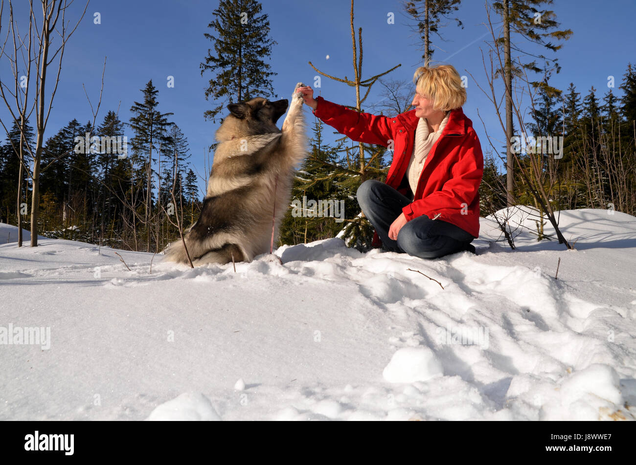 Frau mit Hund im Schnee Stockfoto