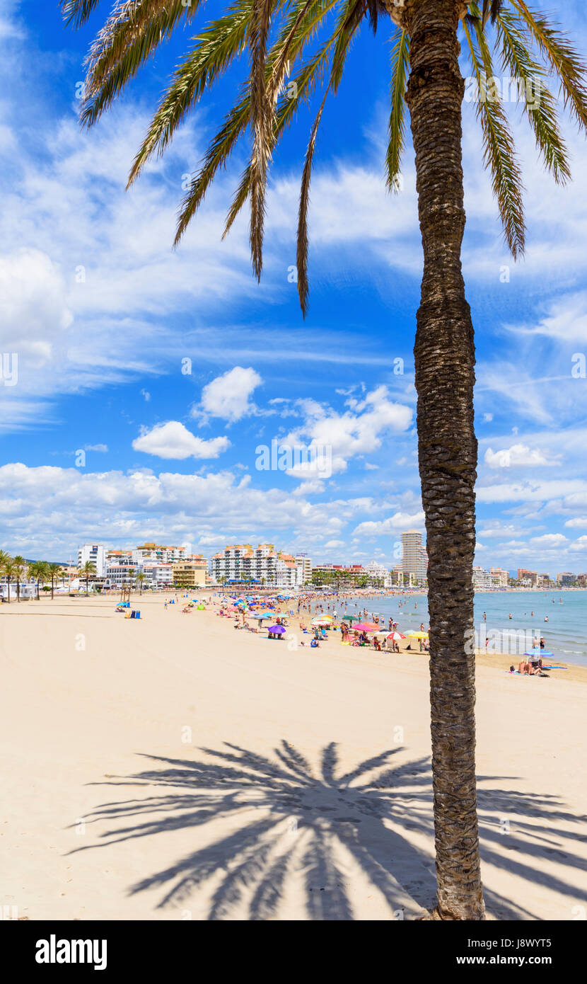 Palme und Schatten am Strand Playa Norte, Peniscola, Spanien Stockfoto