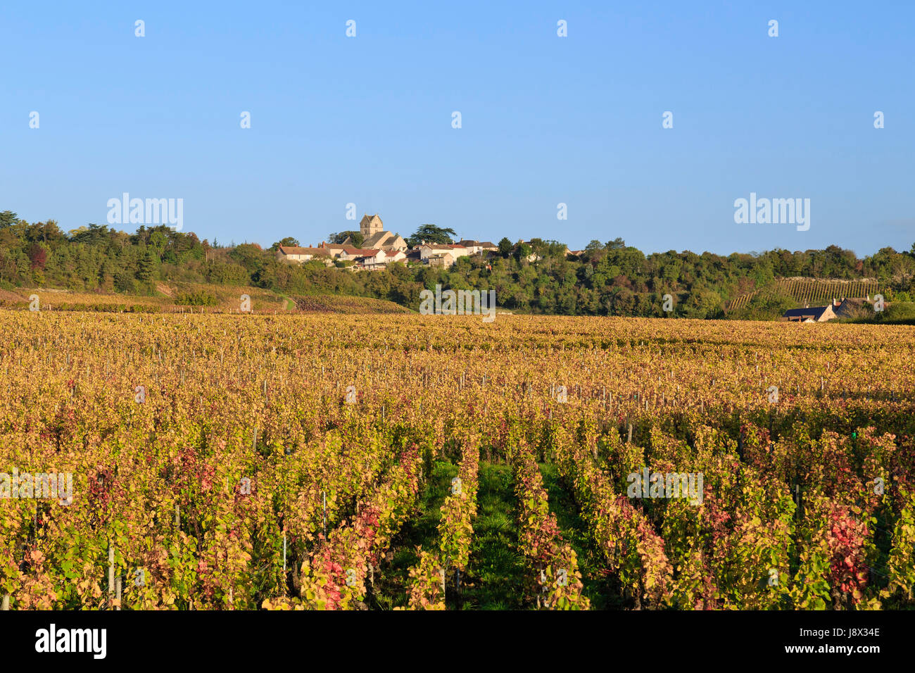 Frankreich, Saone et Loire, Mercurey, berührt Weiler, der Weinberg fallen und das Dorf Stockfoto