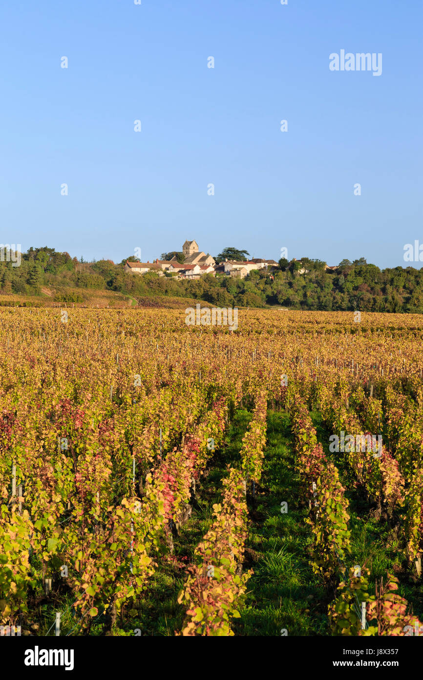 Frankreich, Saone et Loire, Mercurey, berührt Weiler, der Weinberg fallen und das Dorf Stockfoto